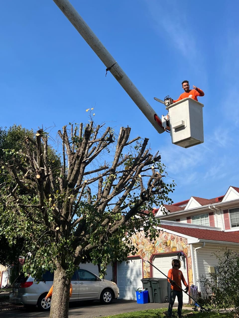 Frank Tree Services